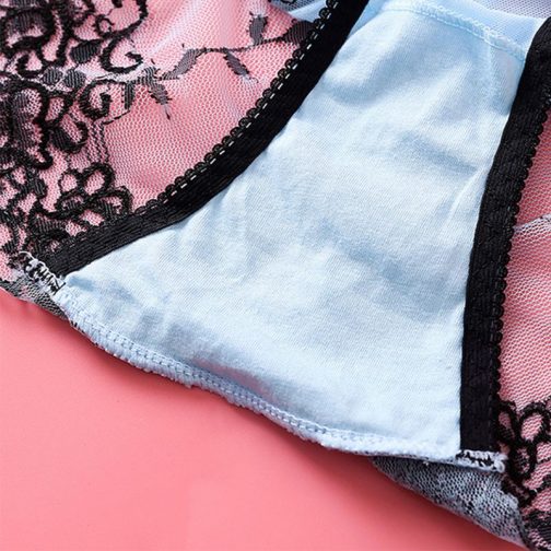 Embroidery Low-Waist Crotch Lace Brief - Image 4