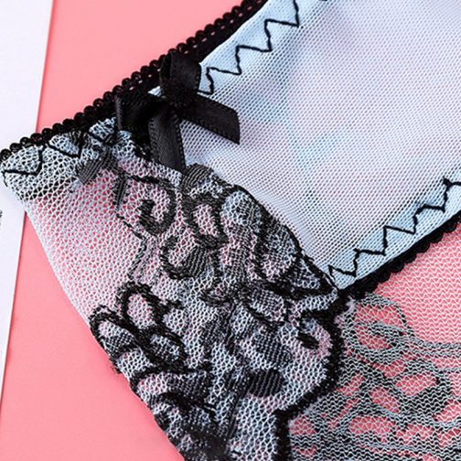 Embroidery Low-Waist Crotch Lace Brief - Image 5