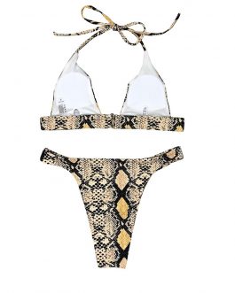 Snake Print Padded Bra Bikini Set