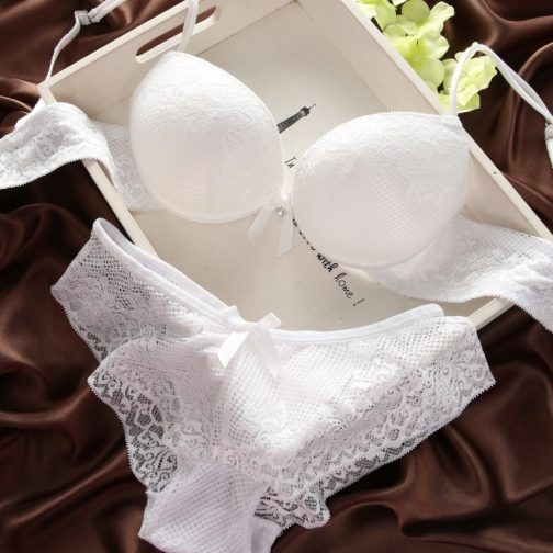 Luxurious Vintage Lace Embroidery Lingerie Set
