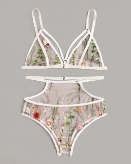Embroidered Floral Transparent Bra And Pantie Set
