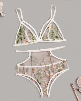 Embroidered Floral Transparent Bra And Pantie Set