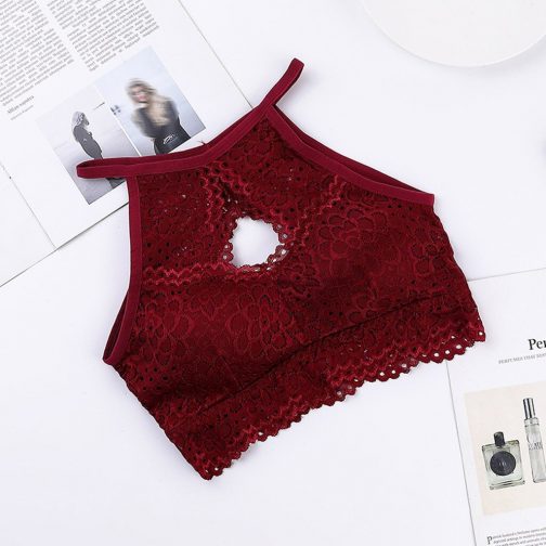Sexy Lace Hollow Out Intimate Bra - Image 3
