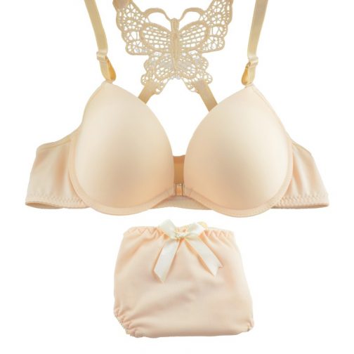 Butterfly Lace Elegant Bra Pantie Set - Image 2