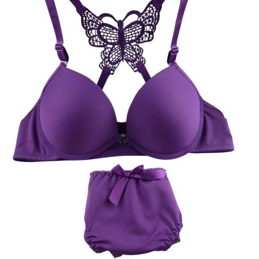 Butterfly Lace Elegant Bra Pantie Set