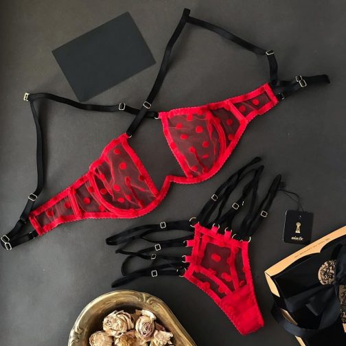 Muslin Exquisite Mesh Cut-Out Underwear Set